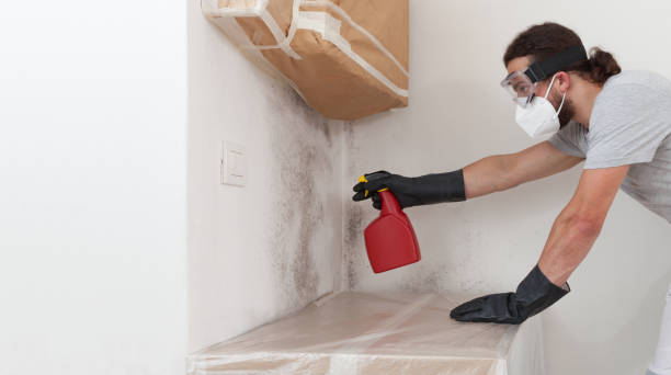 Professional Mold Removal technician working in Stow, MA