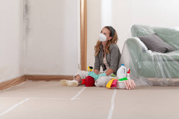 Reliable Mold Removal contractor in Stow, MA by Car Mold Remediation